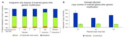 R&D Systems&trade;&nbsp;TcBuster-M Transposase mRNA